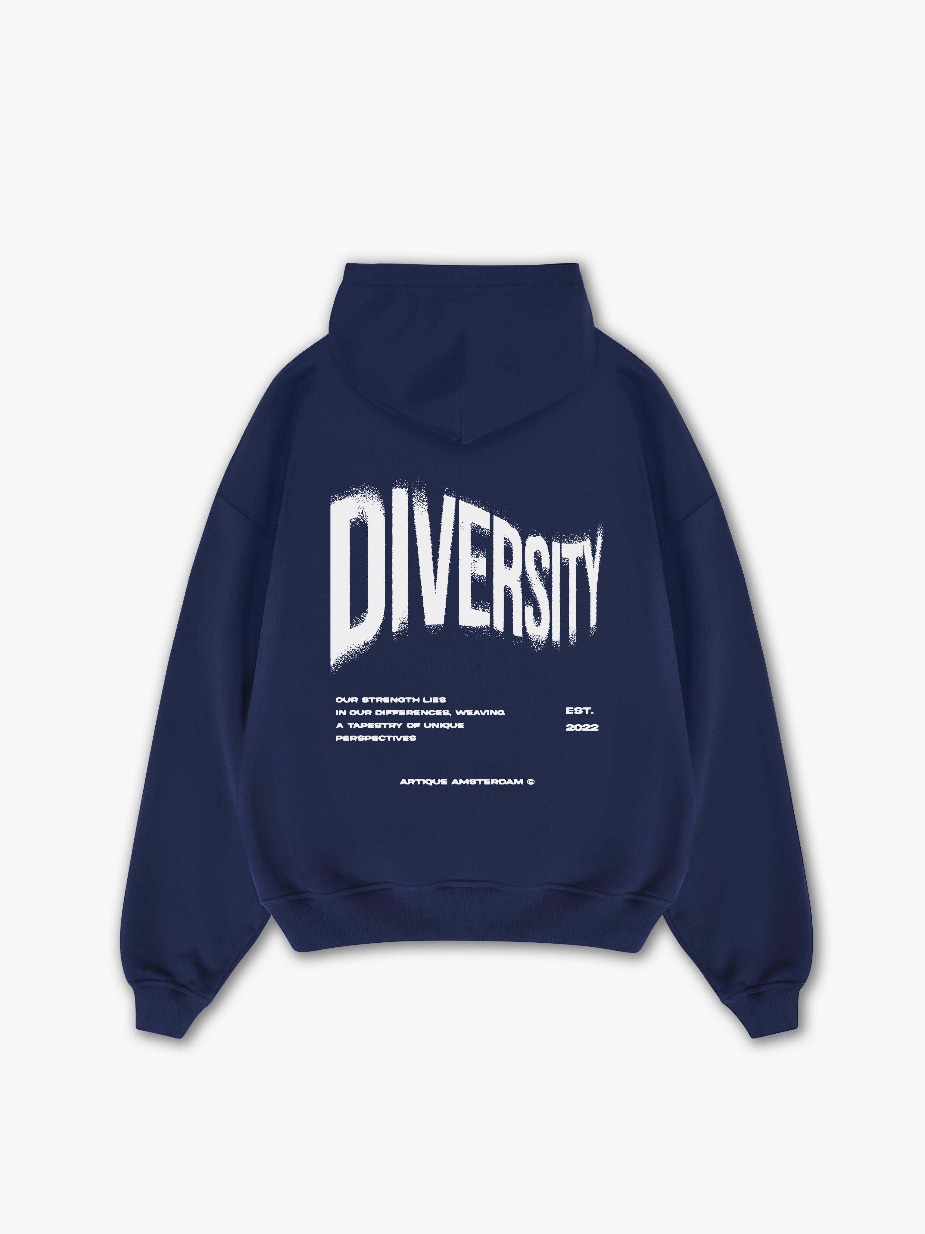 DIVERSITY HOODIE